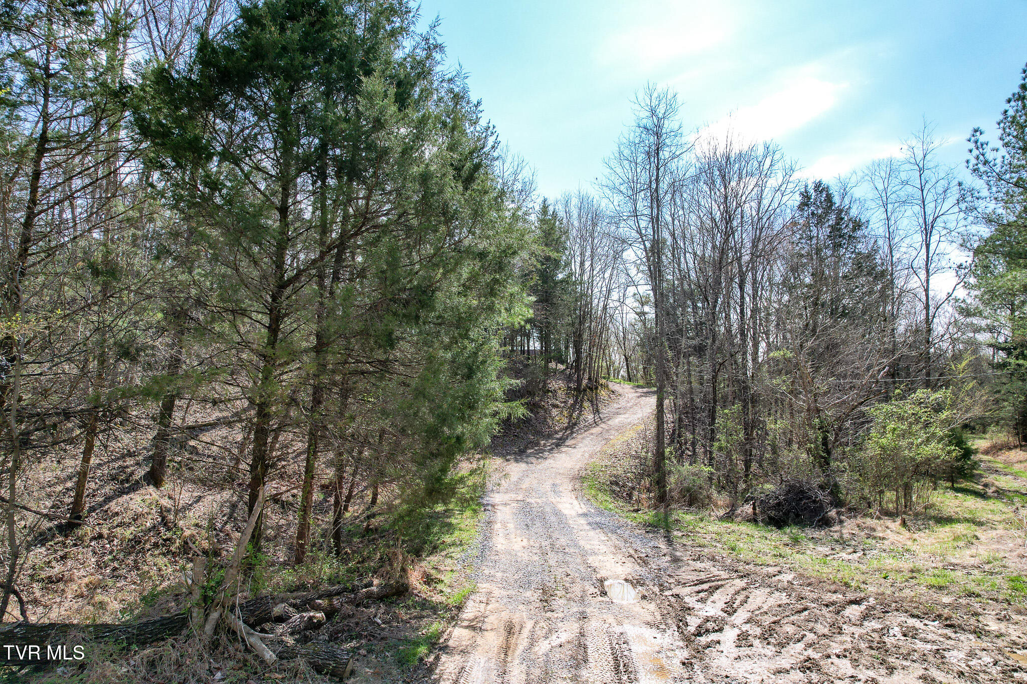 480 Obe Kirk Loop Mohawk, TN 37810 - Photo 29 of 54 DJI_0234