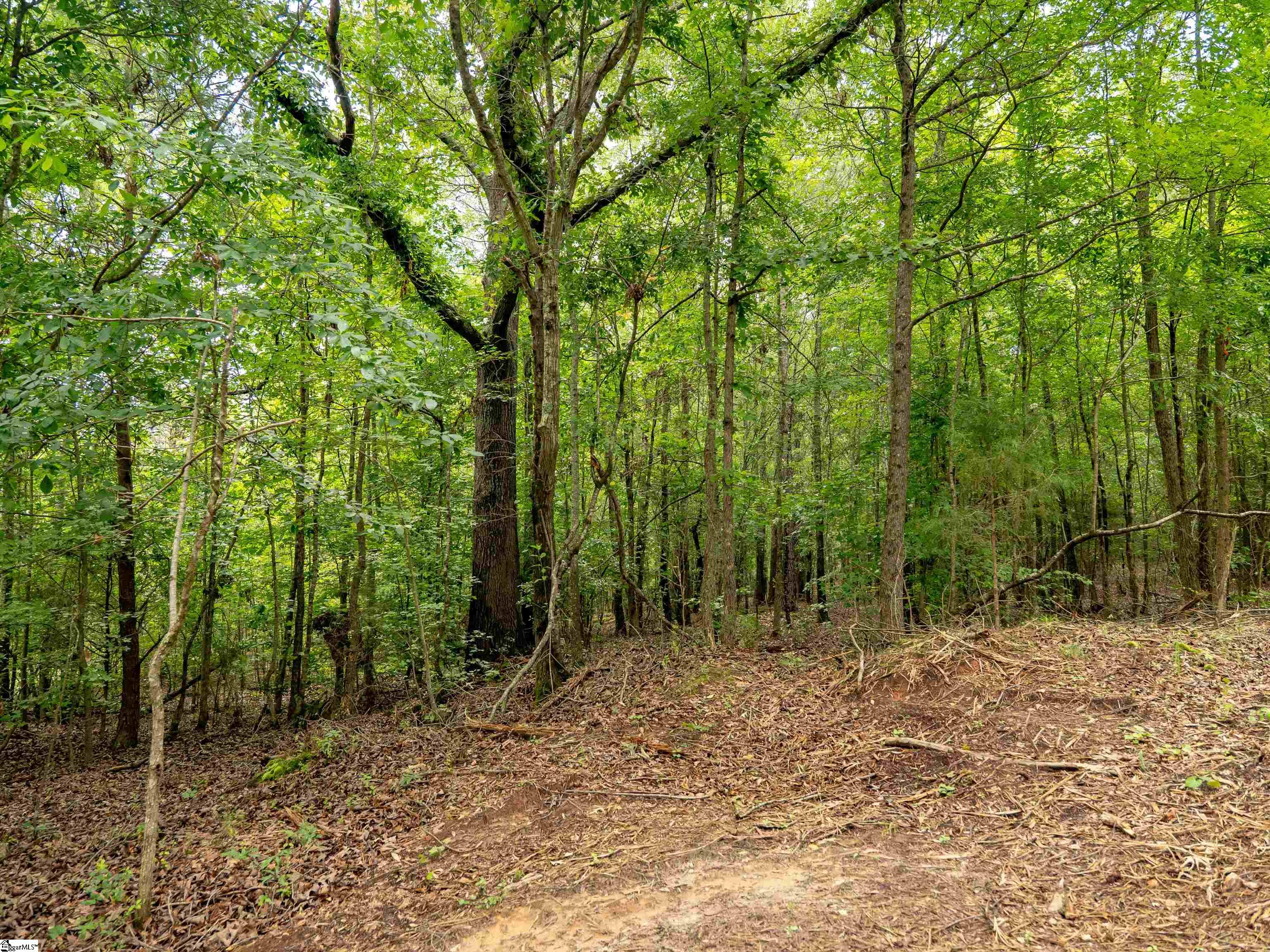 0 Terry Road, Unit LOT 7 Fountain Inn, SC 29644 - Photo 22 of 32 Gallery Image 22