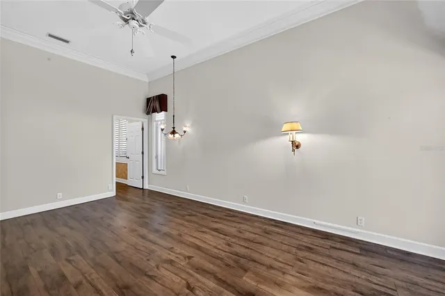 a small garden covered with tall trees