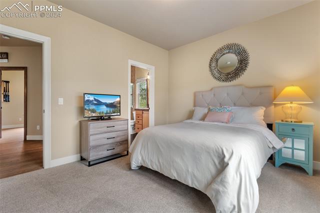 7880 Monarch Road Larkspur, CO 80118 - Photo 14 of 25 Bedroom with ensuite bath and carpet floors