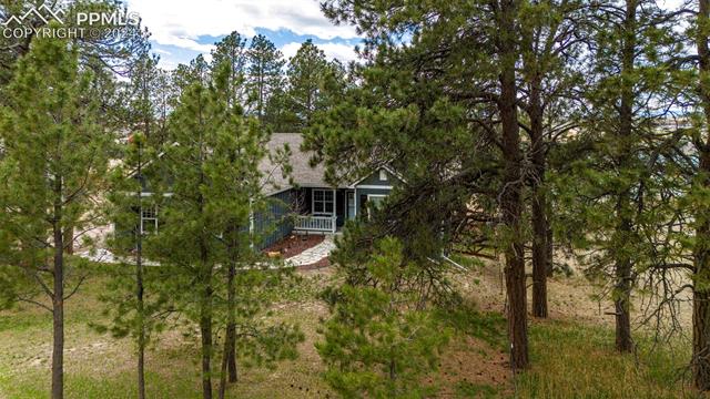 711 Pine Ridge Street Elizabeth, CO 80107 - Photo 3 of 39 View of yard