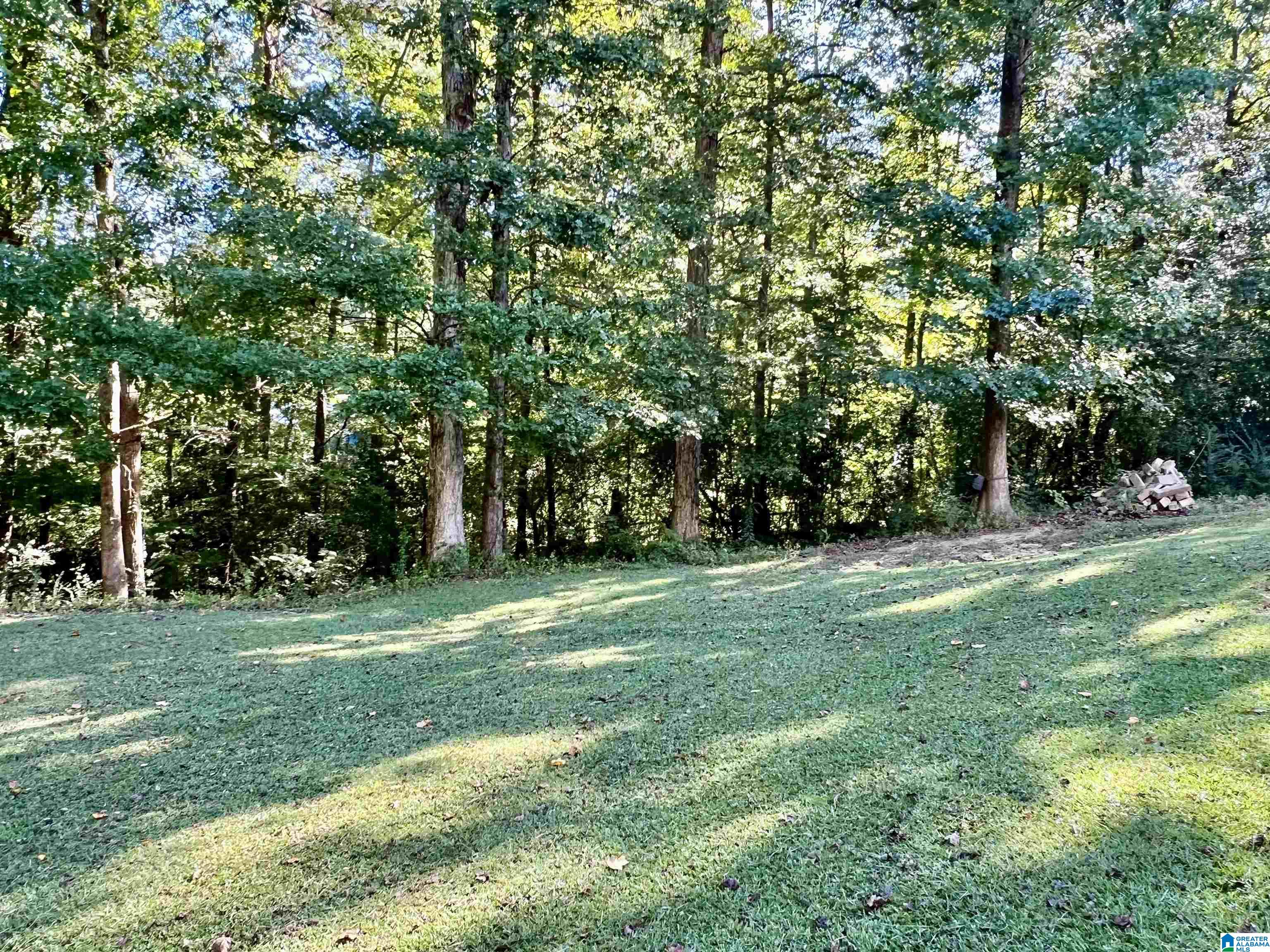 6042 Springview Drive Mount Olive, AL 35117 - Photo 51 of 55