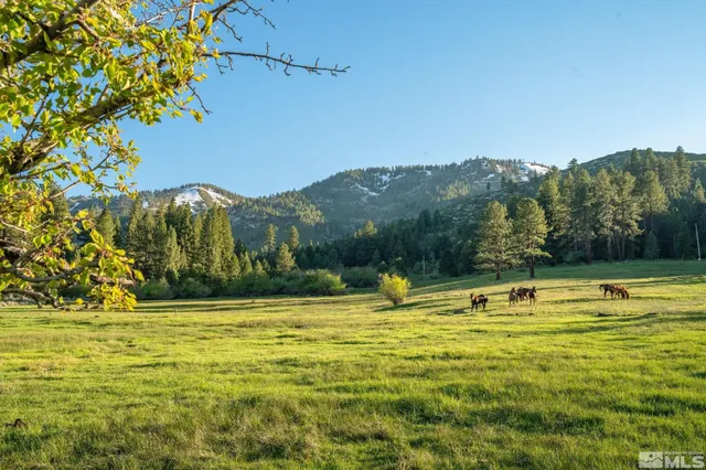 a view of a swimming pool with a house
