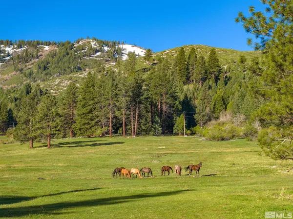 $5,725,000 | 6995 Franktown Road, Washoe Valley, NV 89704