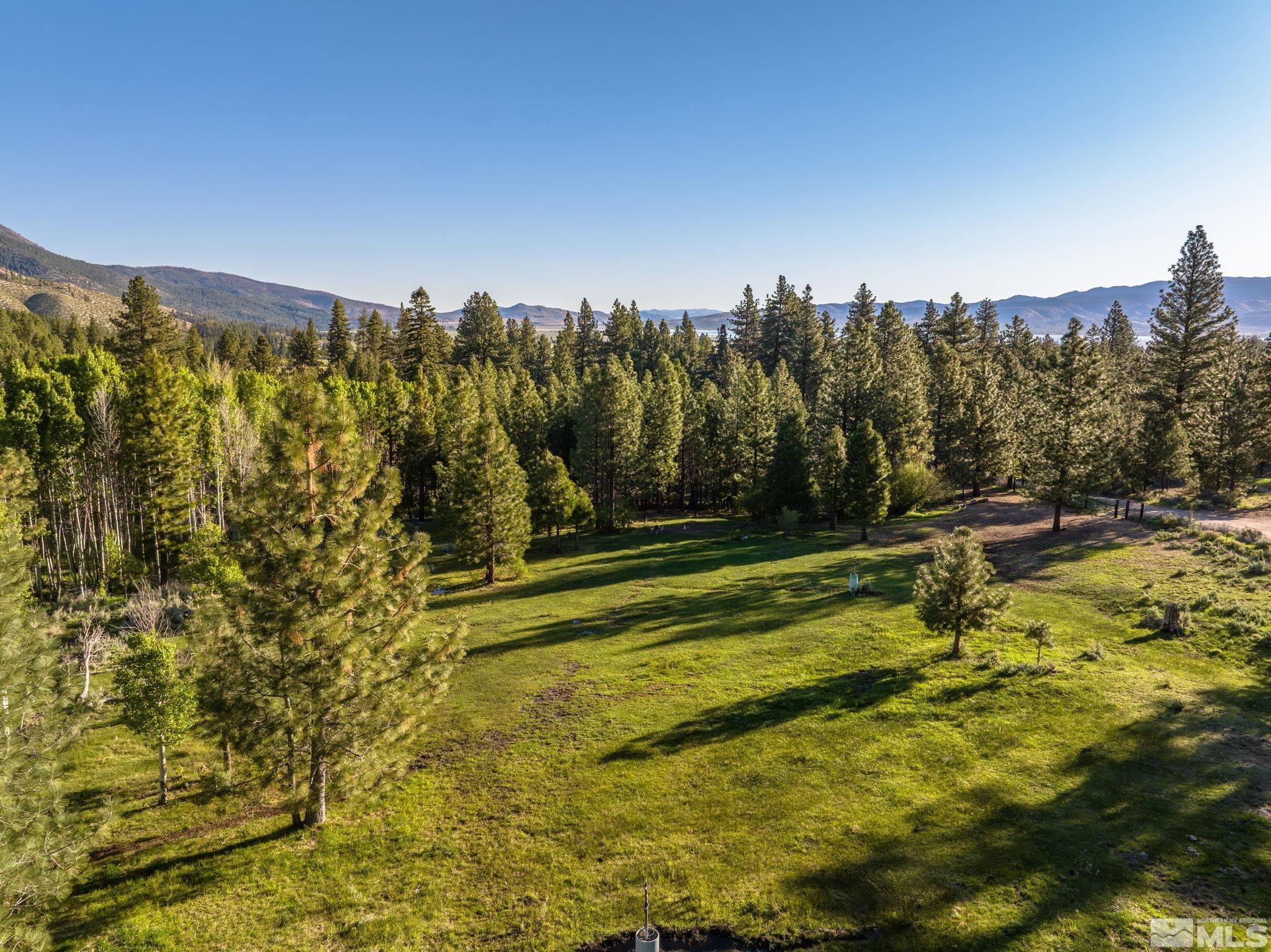 6995 Franktown Road Washoe Valley, NV 89704 - Photo 25 of 36 Photo 12