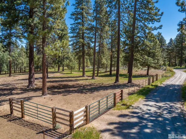 a view of a park with trees