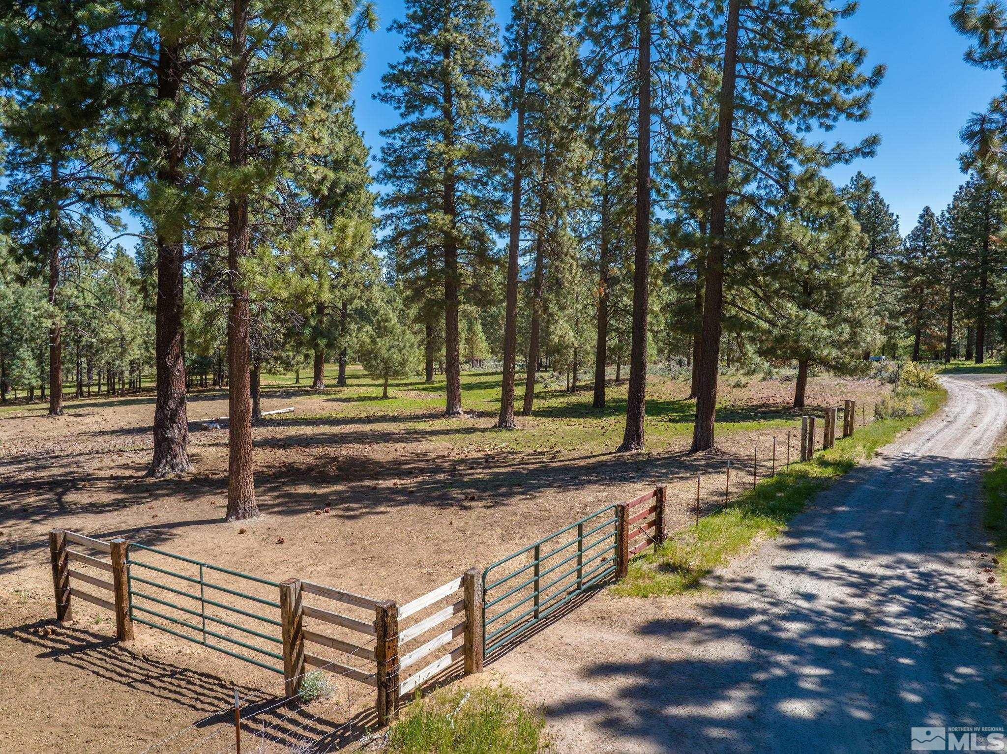 6995 Franktown Road Washoe Valley, NV 89704 - Photo 30 of 36 Photo 27