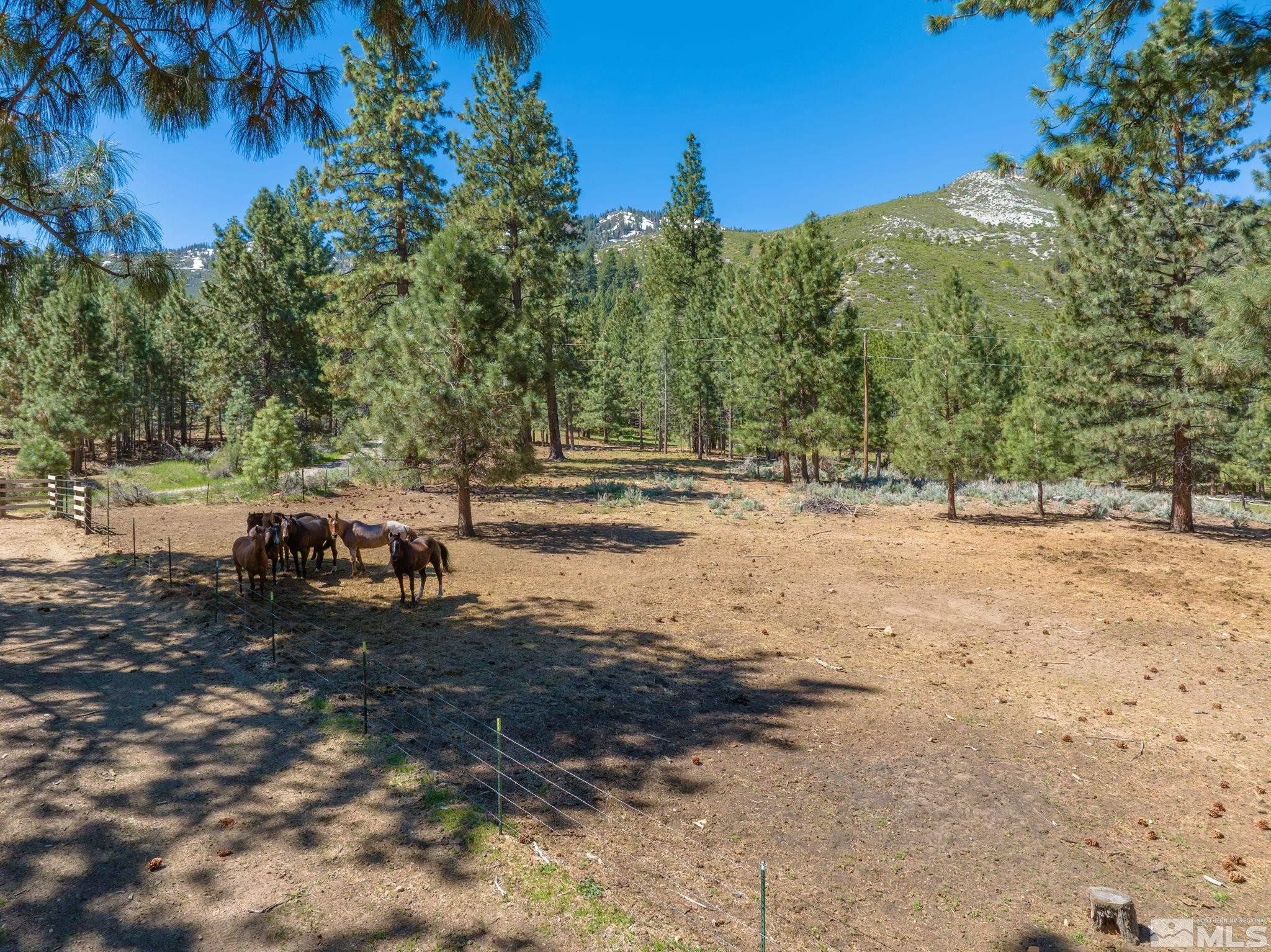 6995 Franktown Road Washoe Valley, NV 89704 - Photo 31 of 36 Photo 5