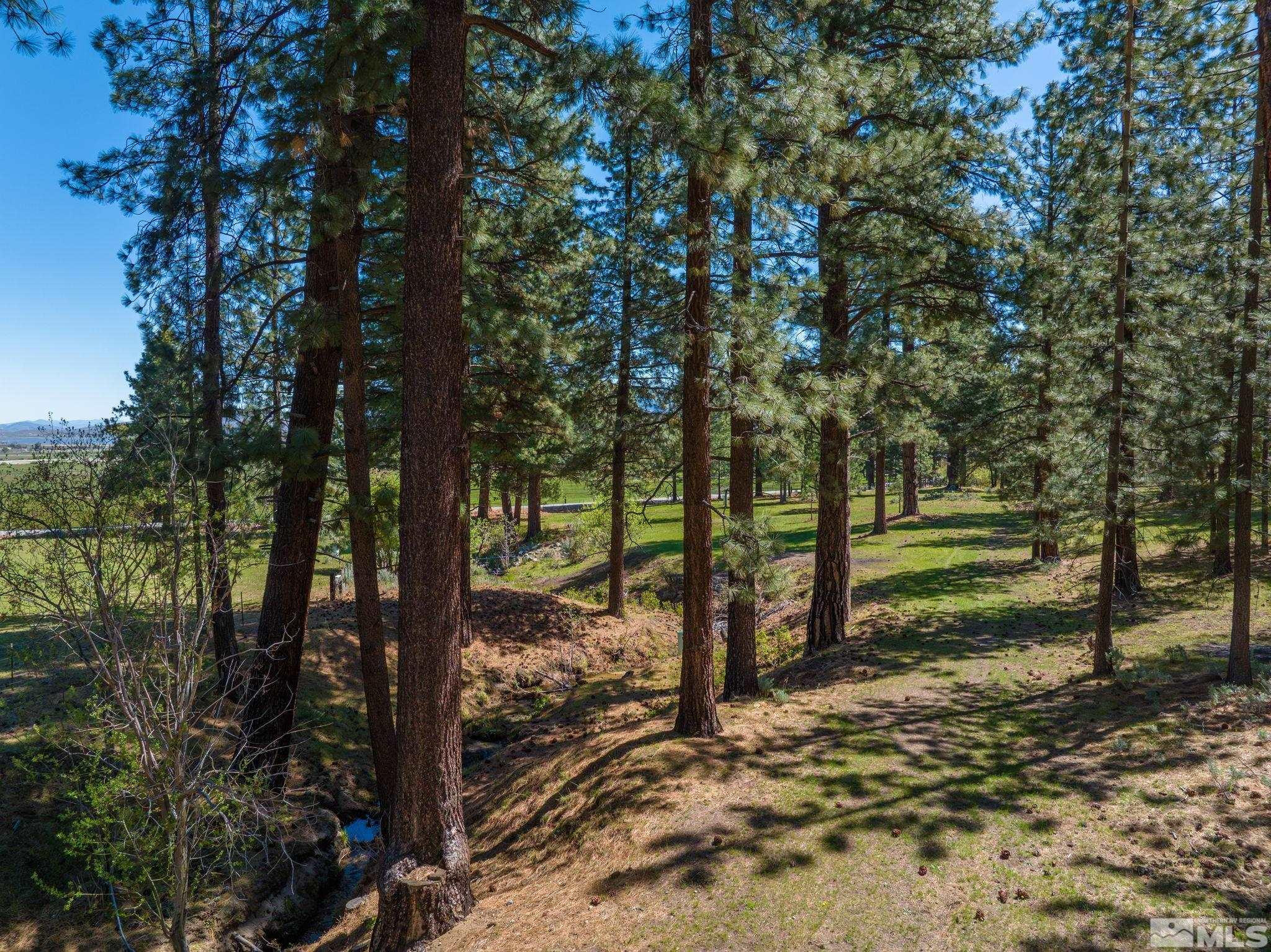 6995 Franktown Road Washoe Valley, NV 89704 - Photo 33 of 36 Photo 25