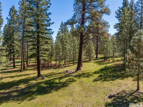 $5,725,000 | 6995 Franktown Road, Washoe Valley, NV 89704