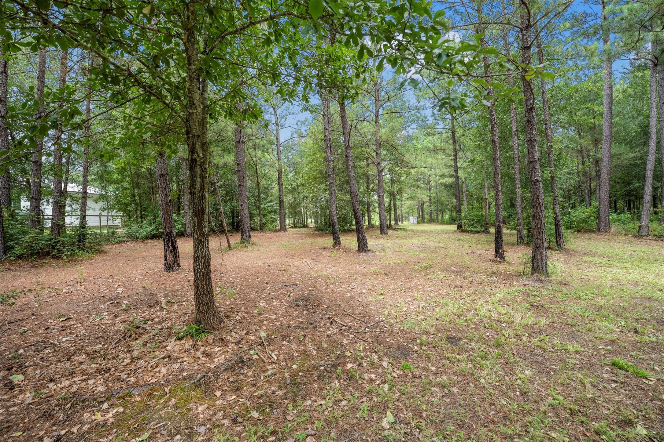 1022 Fm 1696 Road West Huntsville, TX 77320 - Photo 48 of 50