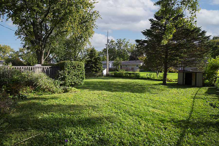 1313 Rutledge Road Bloomington, IL 61704 - Photo 20 of 29 a view of a house with a big yard and a large tree