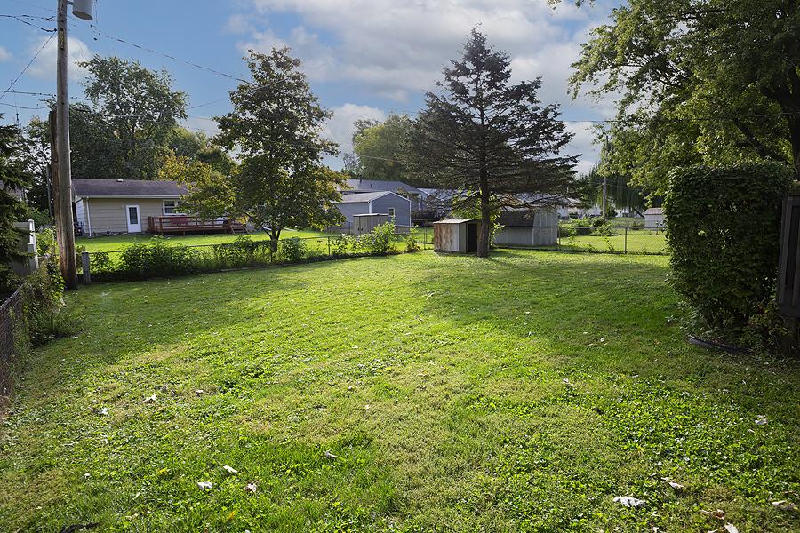 1313 Rutledge Road Bloomington, IL 61704 - Photo 22 of 29 a view of a big yard with plants and large trees