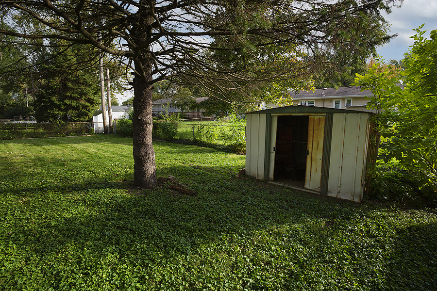 1313 Rutledge Road Bloomington, IL 61704 - Photo 25 of 29 a view of a backyard with large trees