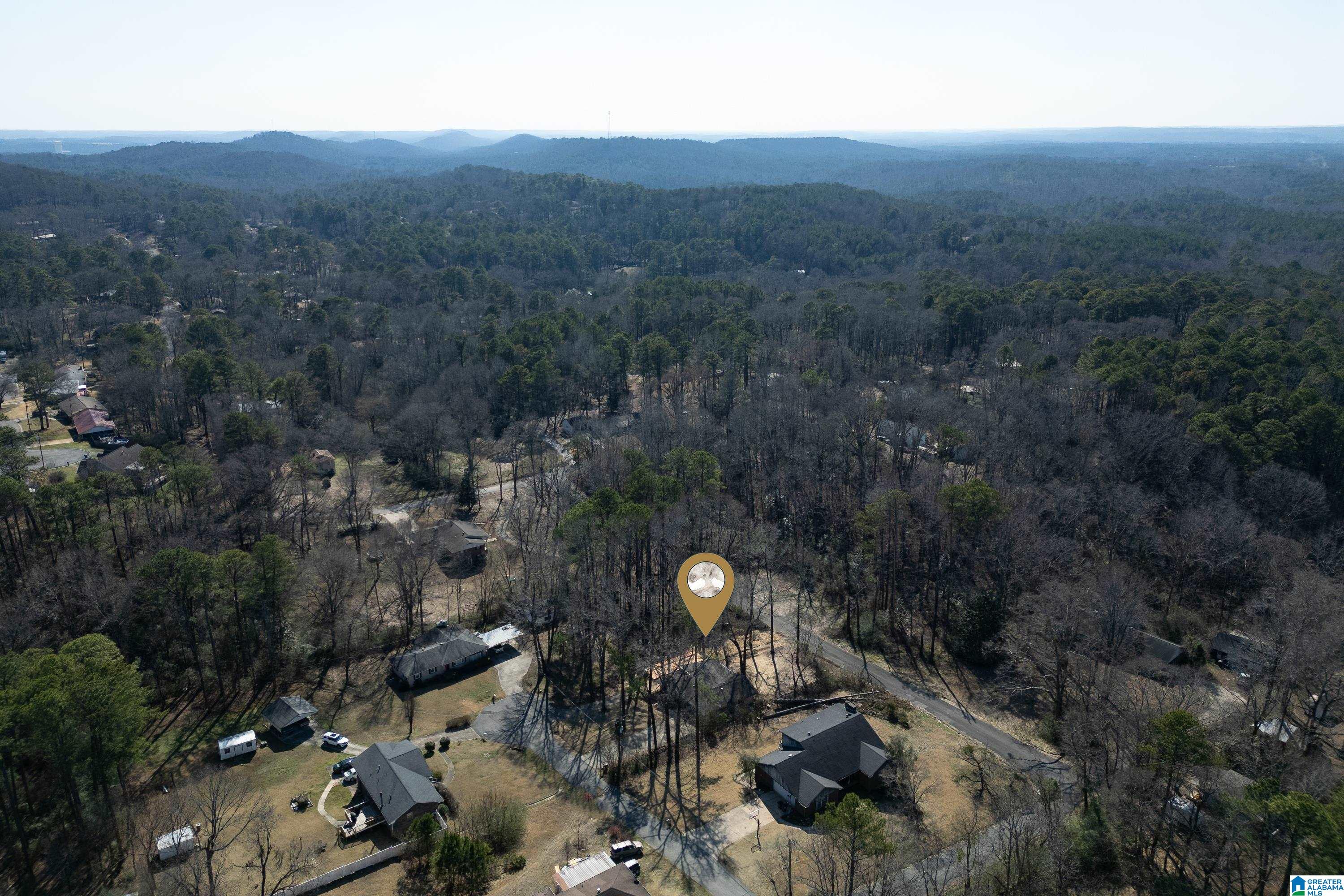 105 Pierson Circle Bessemer, AL 35023 - Photo 40 of 42