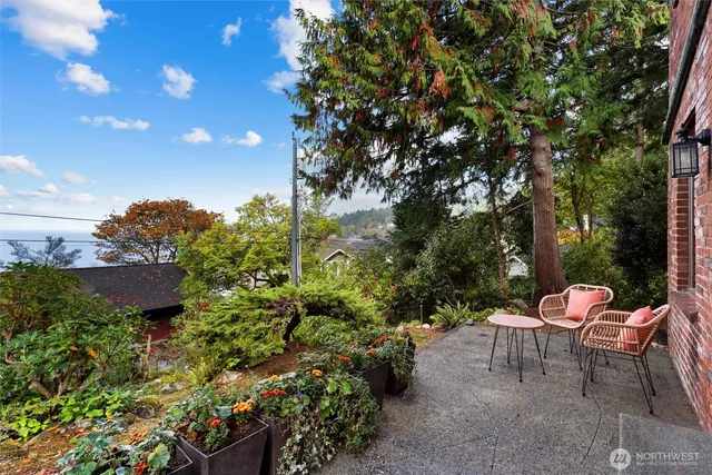 a view of a backyard with plants and a garden