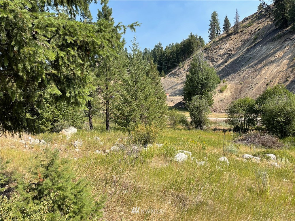 12 Trout Creek Road Republic, WA 99166 - Photo 22 of 28