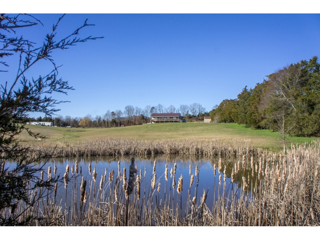 2544 Weems Chapel Road Mosheim, TN 37818 - Photo 2 of 36 Beautiful acreage and water