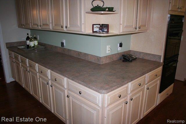 434 Springview Drive Rochester, MI 48307 - Photo 3 of 17 kitchen storage.JPG