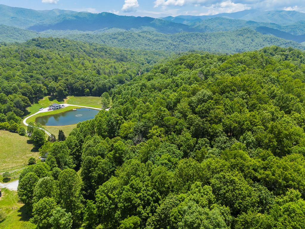 1651 Winding Stairs Road Topton, NC 28781 - Photo 73 of 100