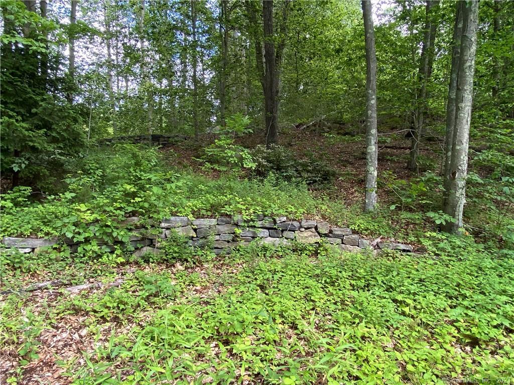 136 Rattling Valley Road Deep River, CT 06417 - Photo 1 of 1 a view of a lush green forest