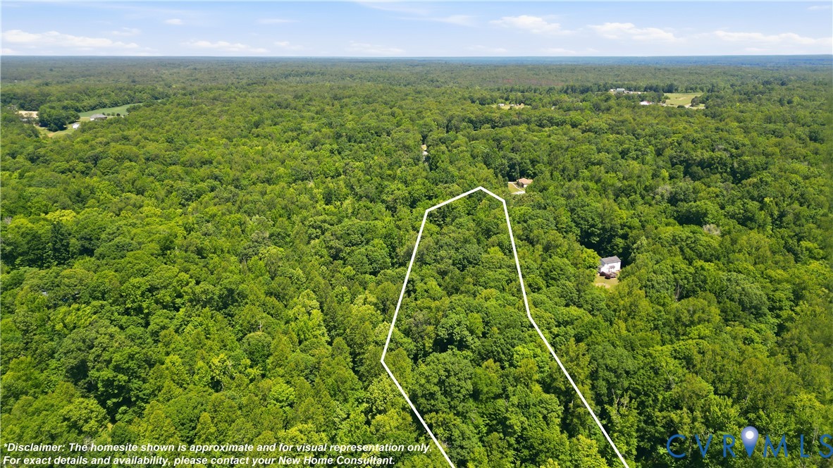 9905 Old Dirt Road New Kent, VA 23124 - Photo 22 of 24 a view of a lush green space