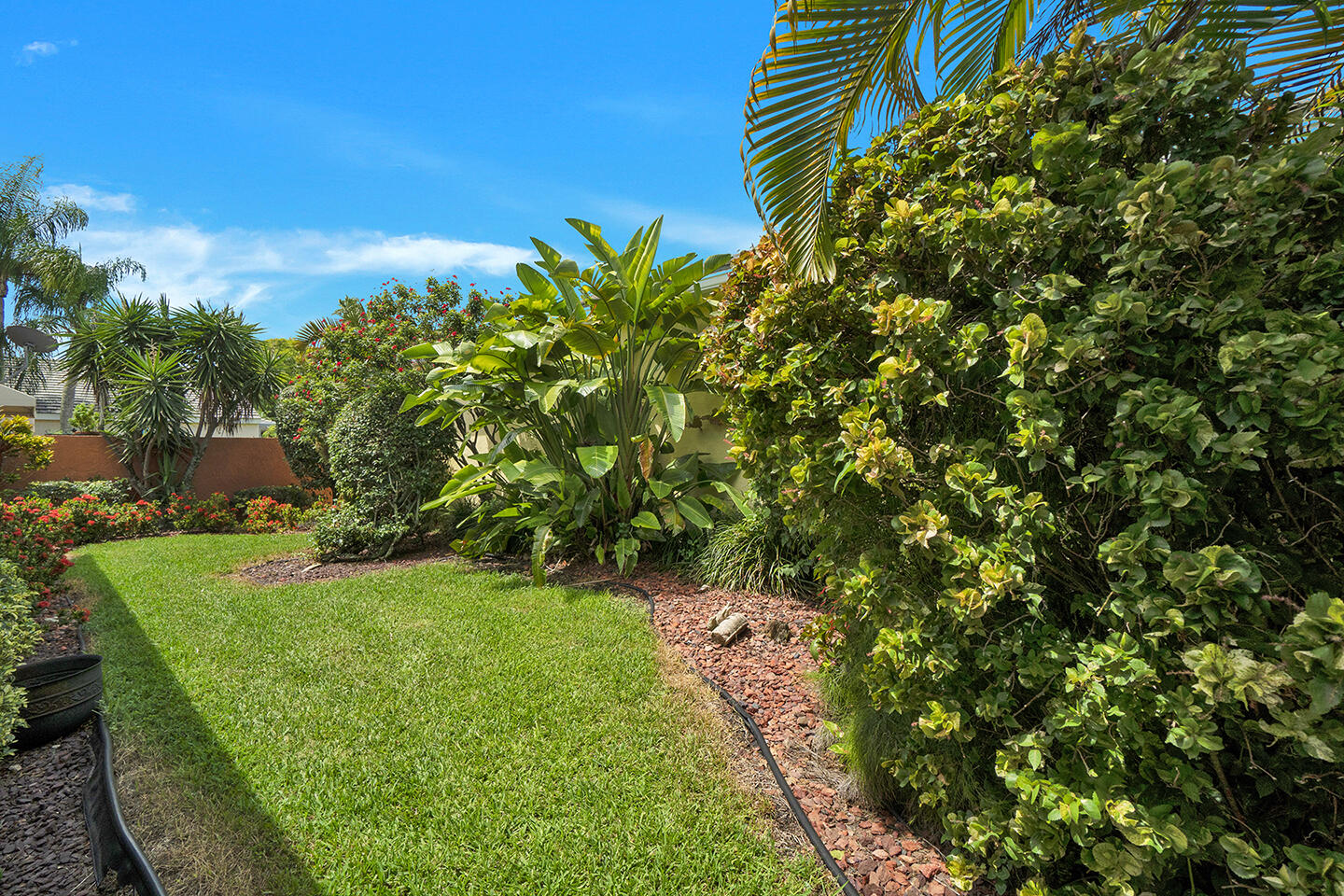 22831 Windsor Wood Court Boca Raton, FL 33433 - Photo 38 of 48 a view of a back yard