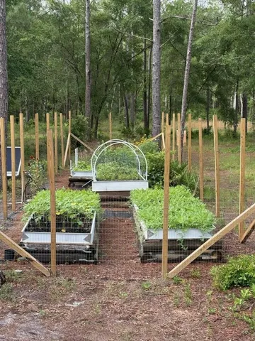 $194,500 | Lot 4-5 Seminole Lane, Sopchoppy, FL 32358