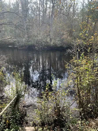 $189,500 | Lot 4-5 Seminole Lane, Sopchoppy, FL 32358