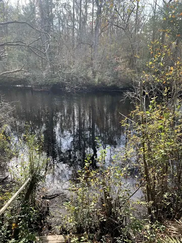 $194,500 | Lot 4-5 Seminole Lane, Sopchoppy, FL 32358