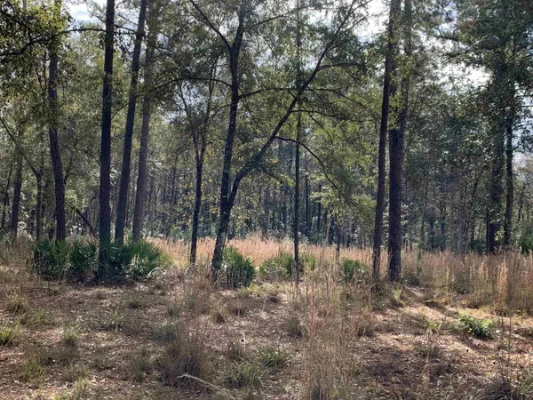 $189,500 | Lot 4-5 Seminole Lane, Sopchoppy, FL 32358