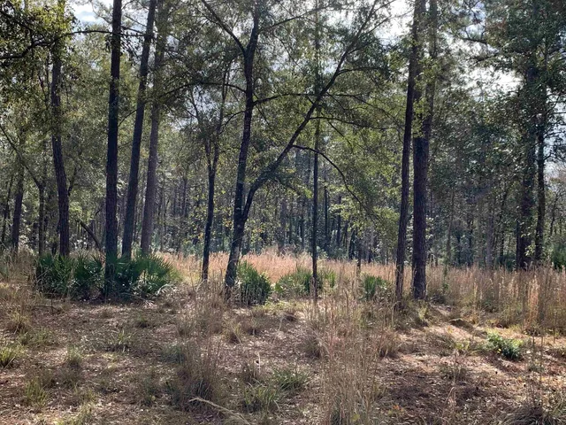 $194,500 | Lot 4-5 Seminole Lane, Sopchoppy, FL 32358