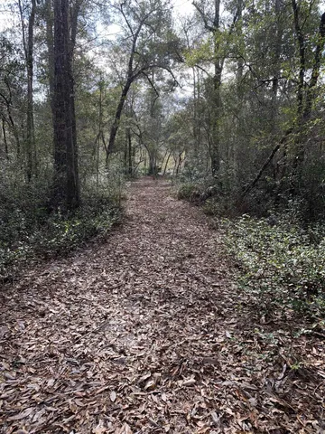 $194,500 | Lot 4-5 Seminole Lane, Sopchoppy, FL 32358