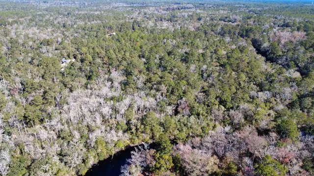 $194,500 | Lot 4-5 Seminole Lane, Sopchoppy, FL 32358