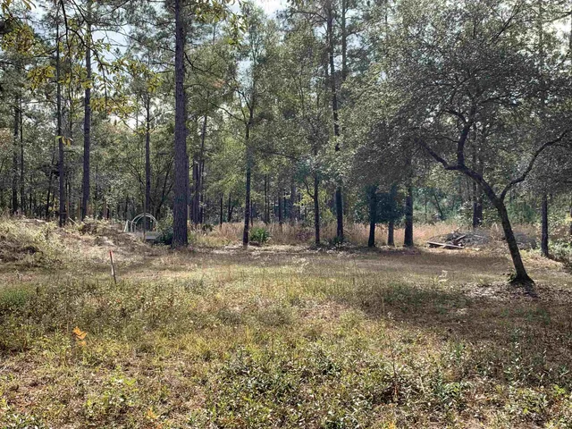 $194,500 | Lot 4-5 Seminole Lane, Sopchoppy, FL 32358