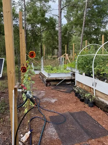 $194,500 | Lot 4-5 Seminole Lane, Sopchoppy, FL 32358