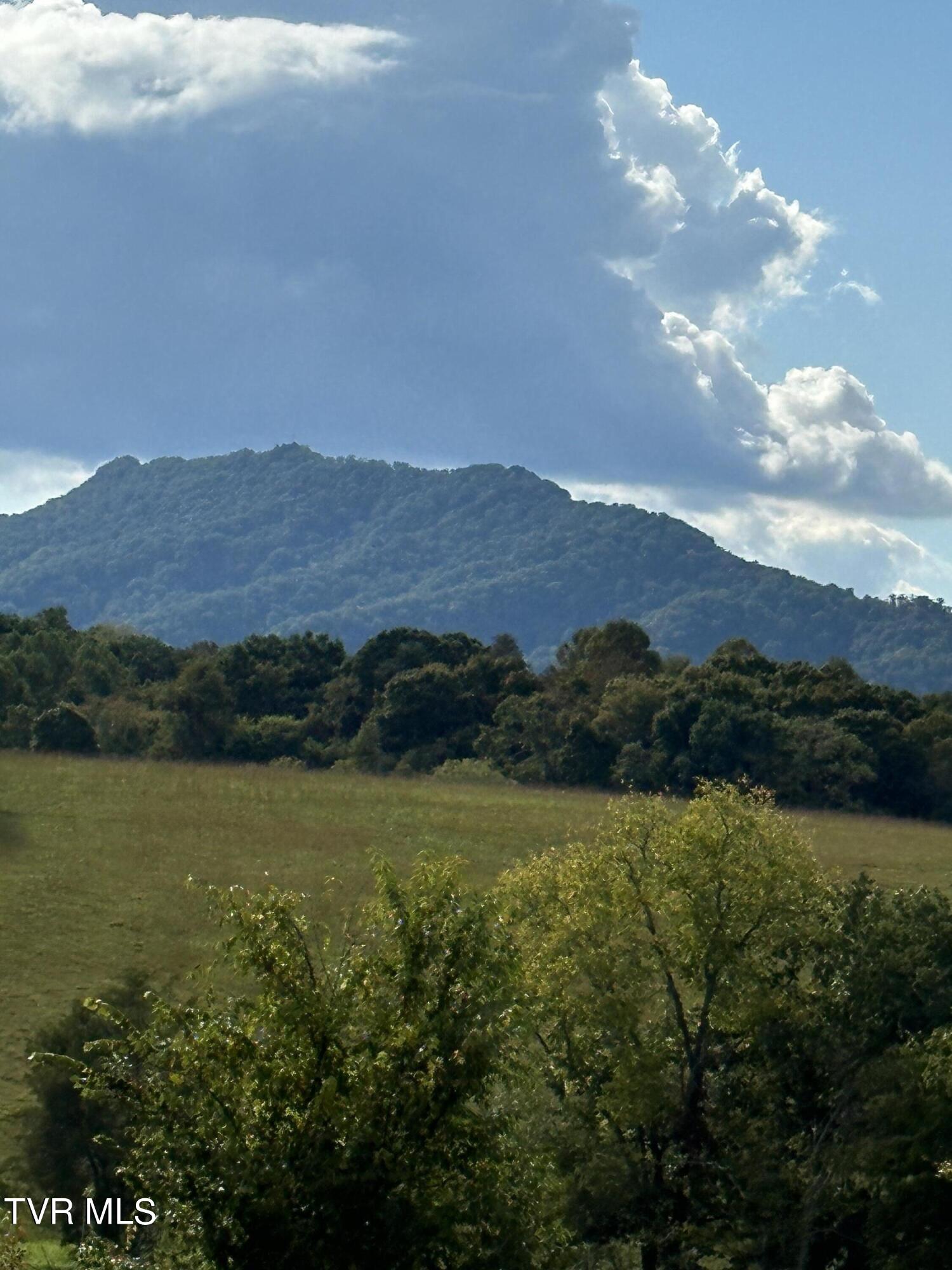 1370 Lovelace Road Fall Branch, TN 37656 - Photo 9 of 55 Mountain views