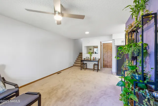 a view of a livingroom with furniture and a potted plant