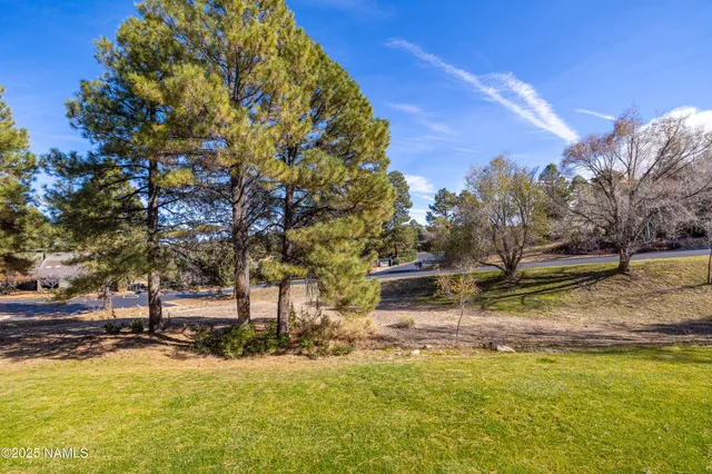 a view of swimming pool with outdoor seating and covered with trees
