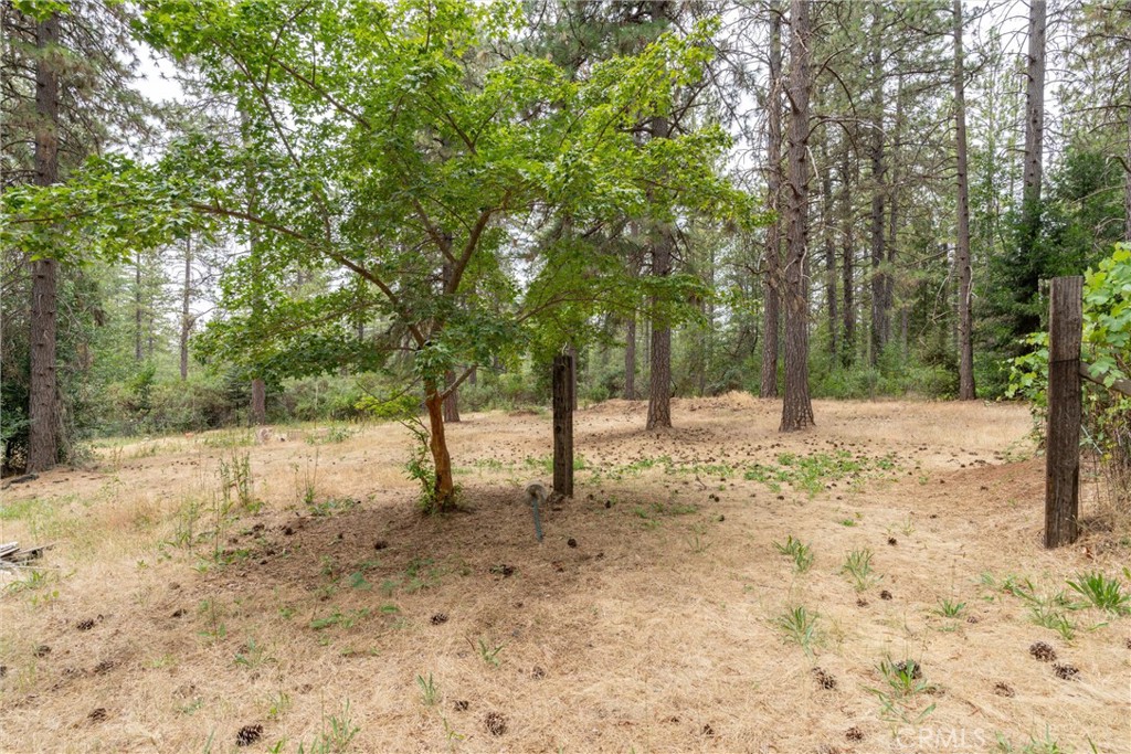15184 Siwini Road Forest Ranch, CA 95942 - Photo 49 of 75