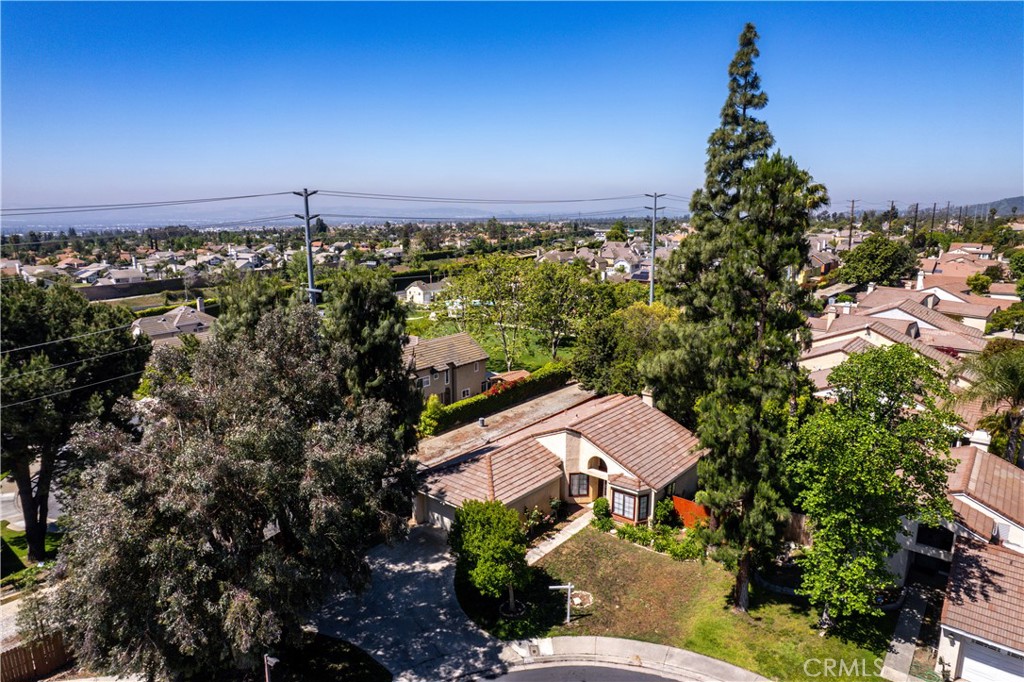 2003 Springcreek Circle Upland, CA 91784 - Photo 61 of 64