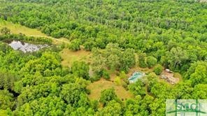 1979 South Coastal Highway Riceboro, GA 31323 - Photo 48 of 48 This is an serial photo of most of the 50+ acres.