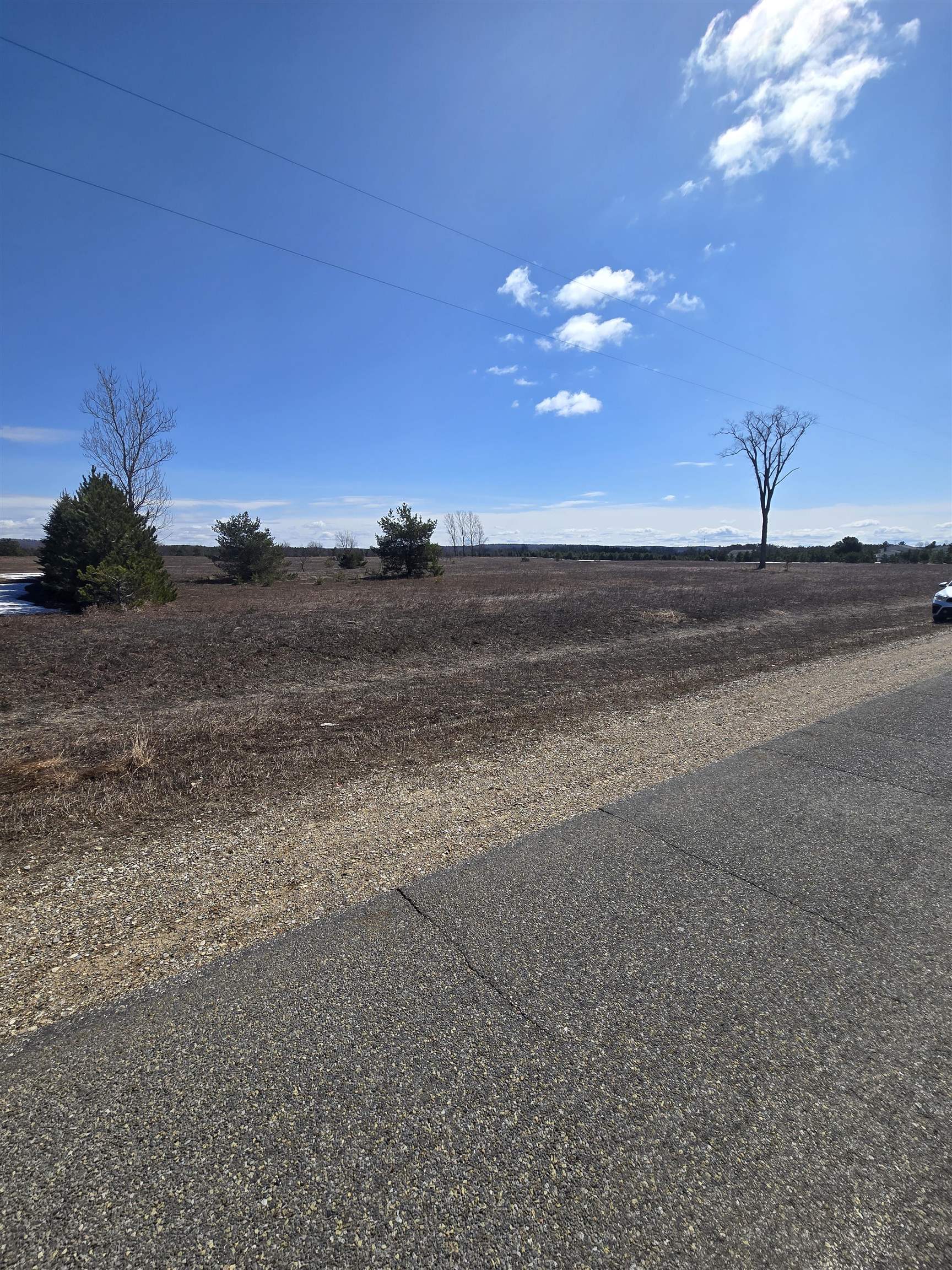 B Johnson Road, Unit LOT: B Mancelona, MI 49659 - Photo 21 of 48
