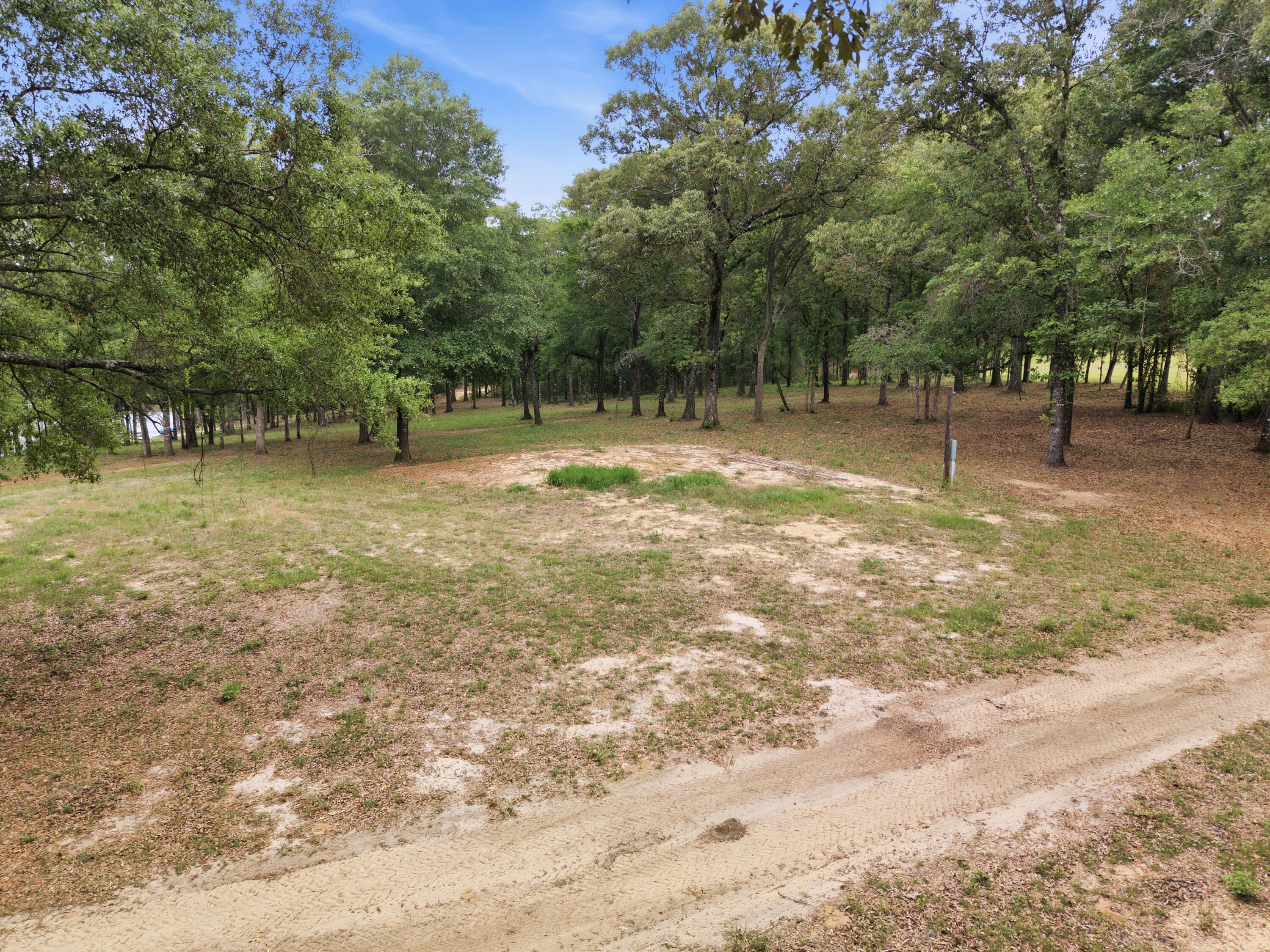 261 Wilkerson Road DeFuniak Springs, FL 32433 - Photo 34 of 76 a backyard of a house with lots of green space