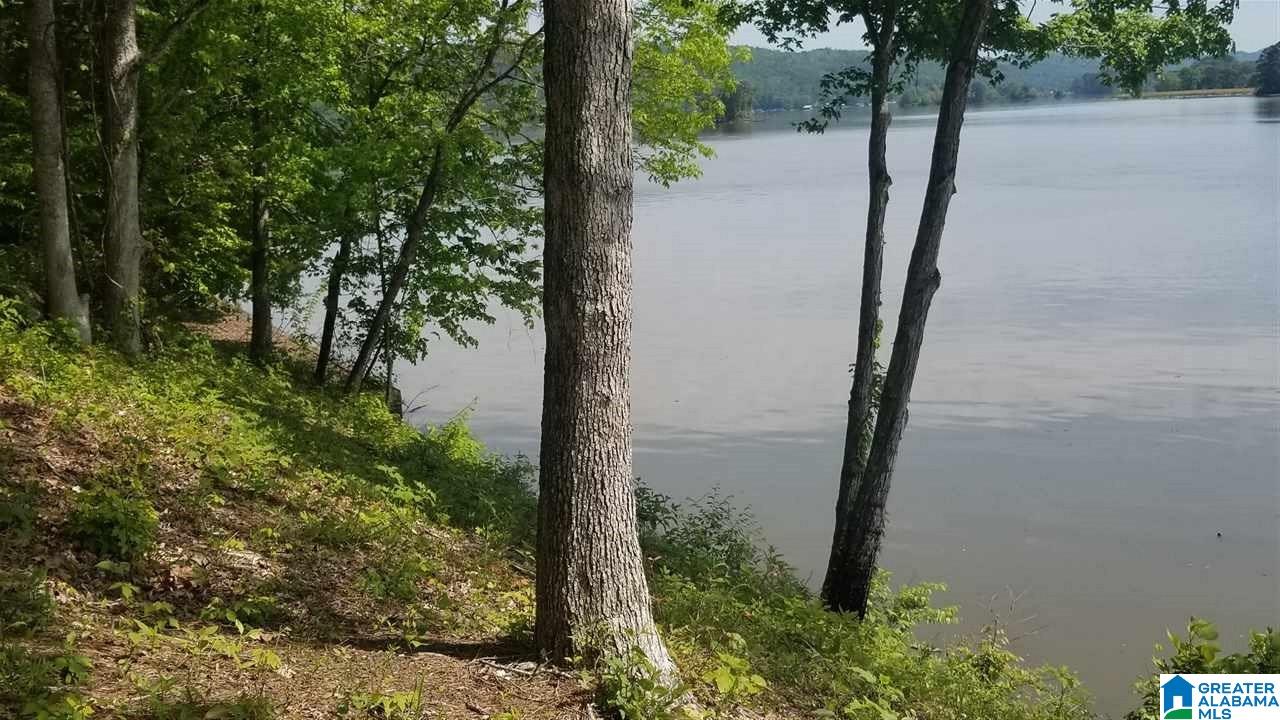 0 Briar Cliff Road, Unit 12 Rainbow City, AL 35906 - Photo 3 of 29