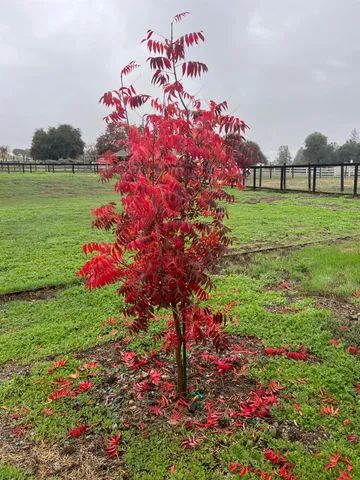 $739,000 | 1993 American River Trail, Cool, CA 95614