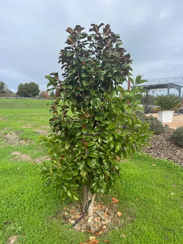 $739,000 | 1993 American River Trail, Cool, CA 95614