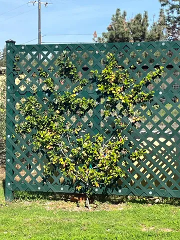 $739,000 | 1993 American River Trail, Cool, CA 95614