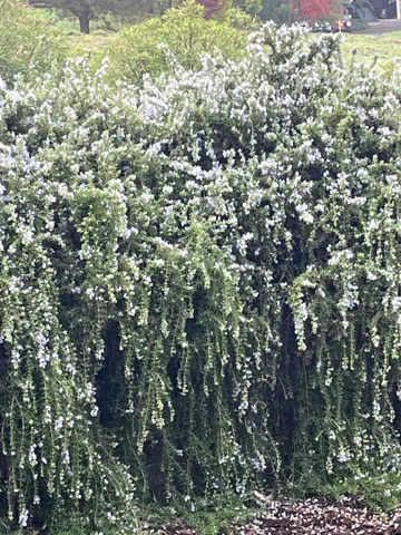 $739,000 | 1993 American River Trail, Cool, CA 95614