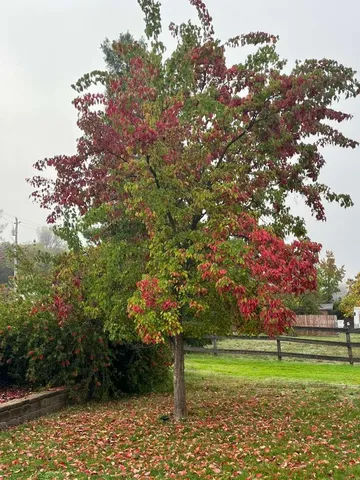 $739,000 | 1993 American River Trail, Cool, CA 95614